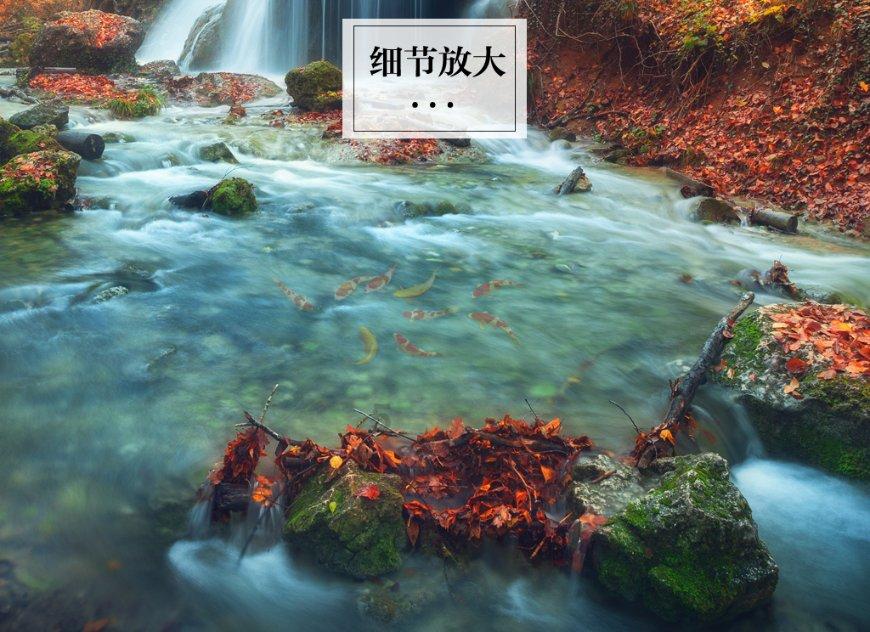 亿万僵尸